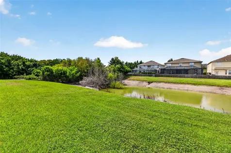 11428 Blue Lilac Avenue Riverview FL 33578
