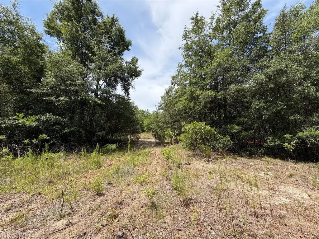 9730 NE State Road 24 Archer FL 32618