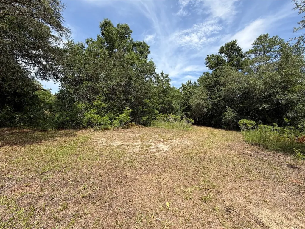9730 NE State Road 24 Archer FL 32618