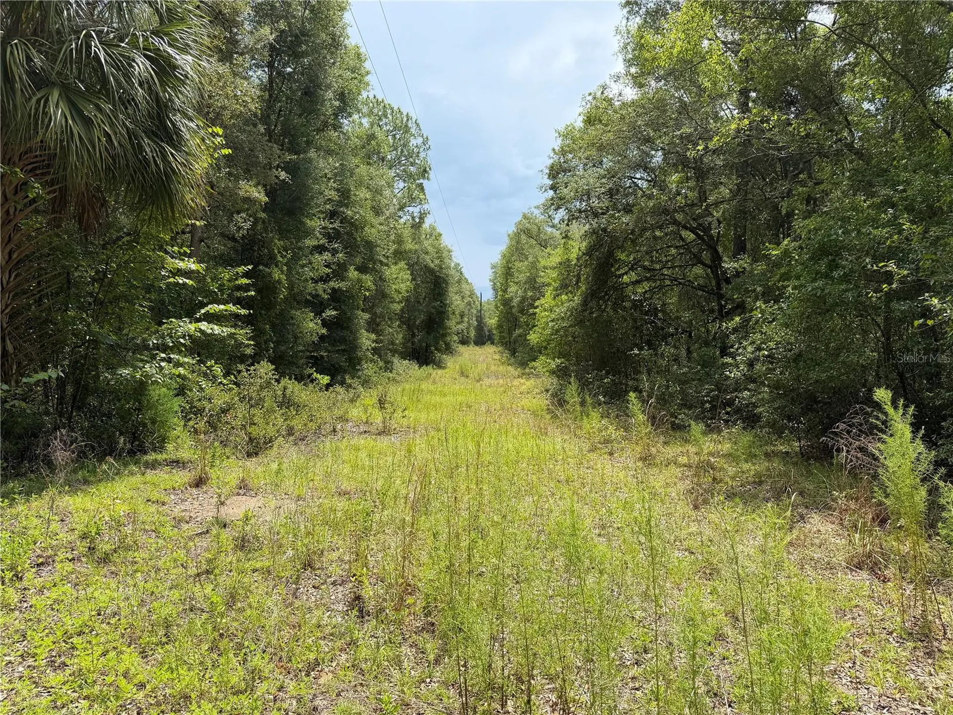 9730 NE State Road 24 Archer FL 32618