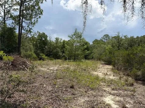 9730 NE State Road 24 Archer FL 32618