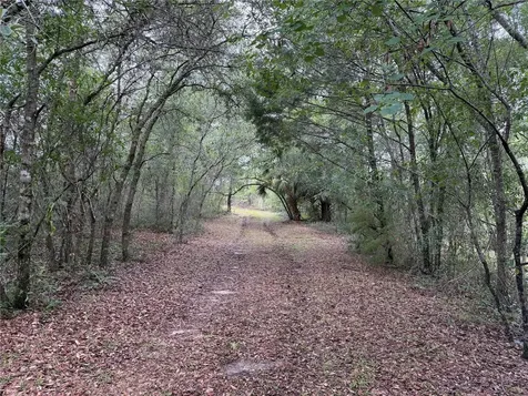 9730 NE State Road 24 Archer FL 32618