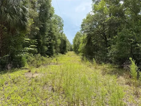 9730 NE State Road 24 Archer FL 32618