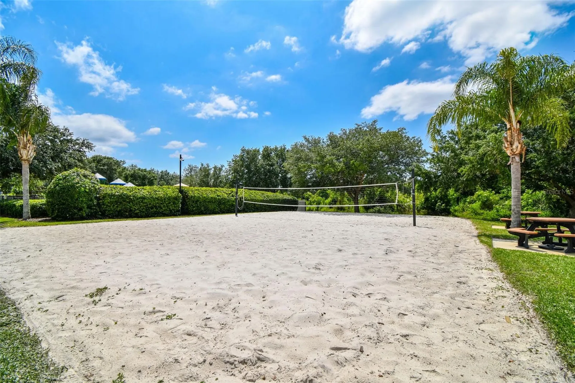 9615 Regiment Court Land O Lakes FL 34638
