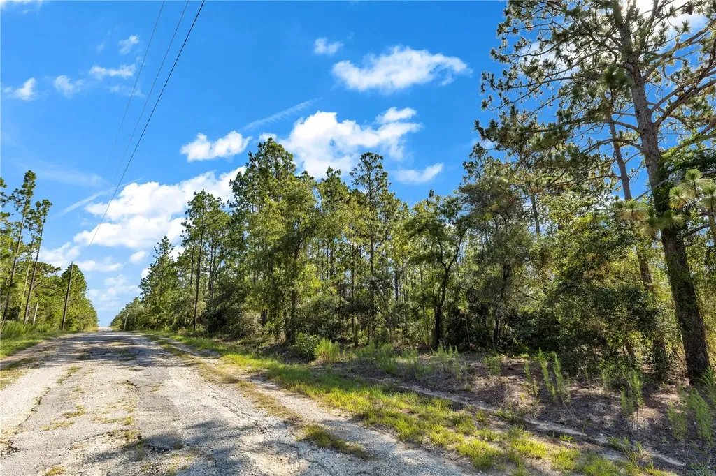 Lots 17 And 17 SE 130th Court Dunnellon FL 34431