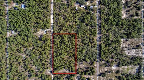 Lots 17 And 17 SE 130th Court Dunnellon FL 34431