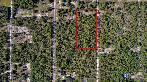 Lots 17 And 17 SE 130th Court Dunnellon FL 34431