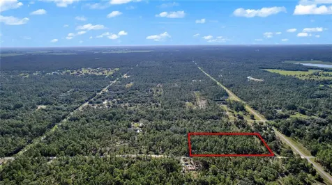 Lots 17 And 17 SE 130th Court Dunnellon FL 34431