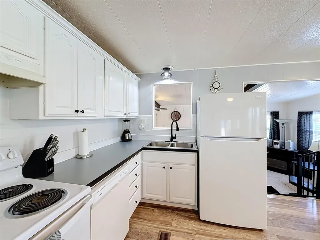 1025 Capella Drive Tavares FL 32778