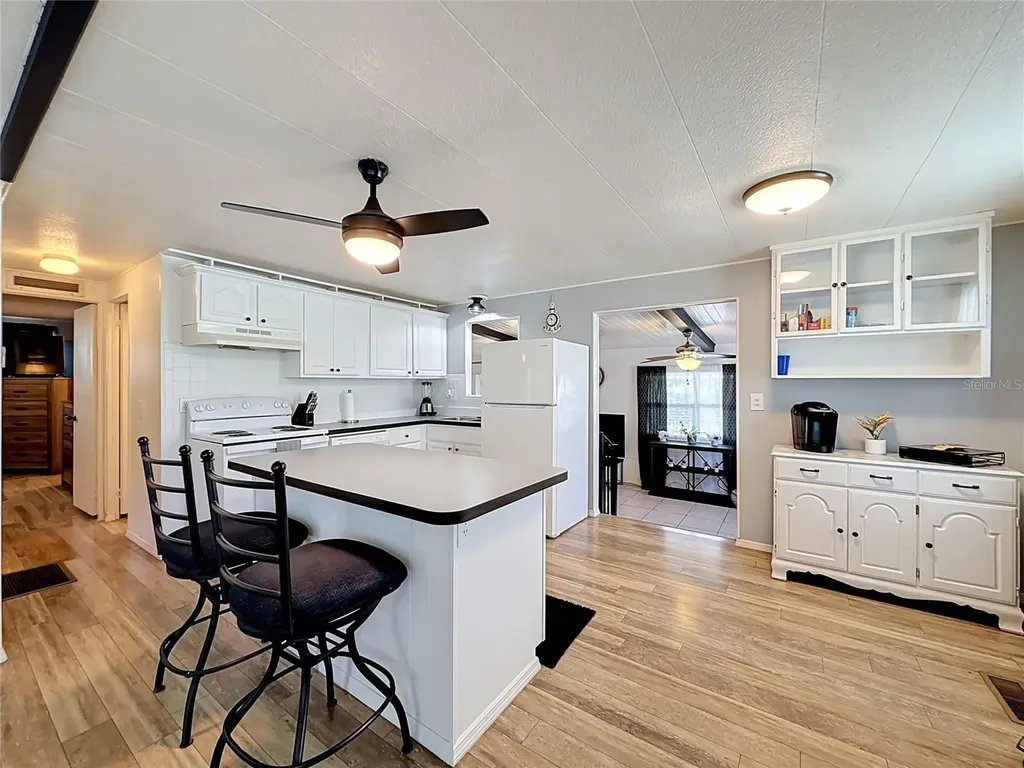 1025 Capella Drive Tavares FL 32778