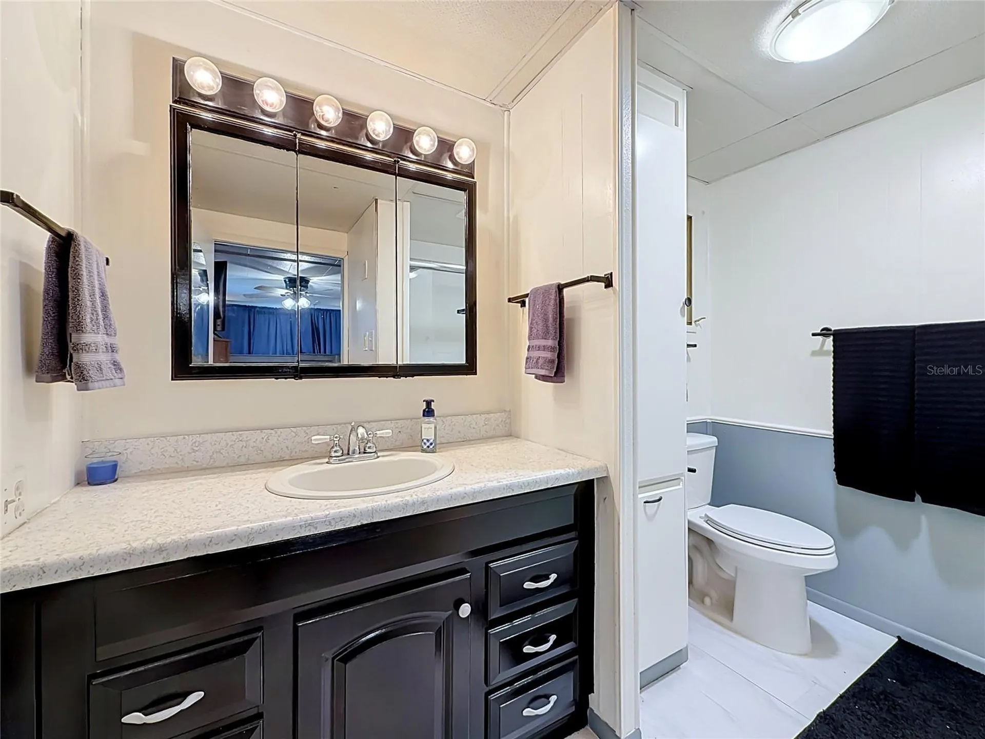1025 Capella Drive Tavares FL 32778