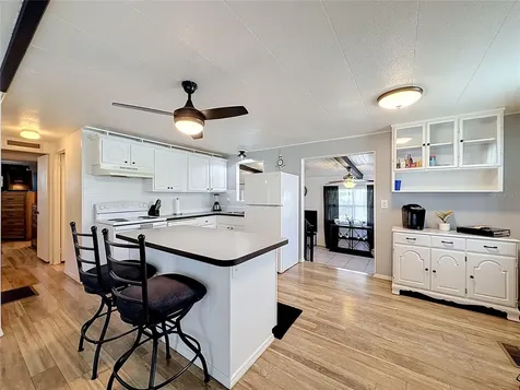 1025 Capella Drive Tavares FL 32778