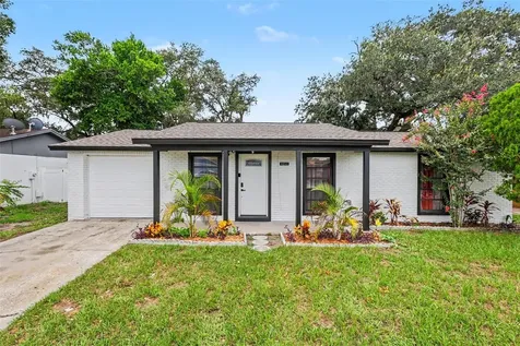 8253 Greenleaf Circle Tampa FL 33615