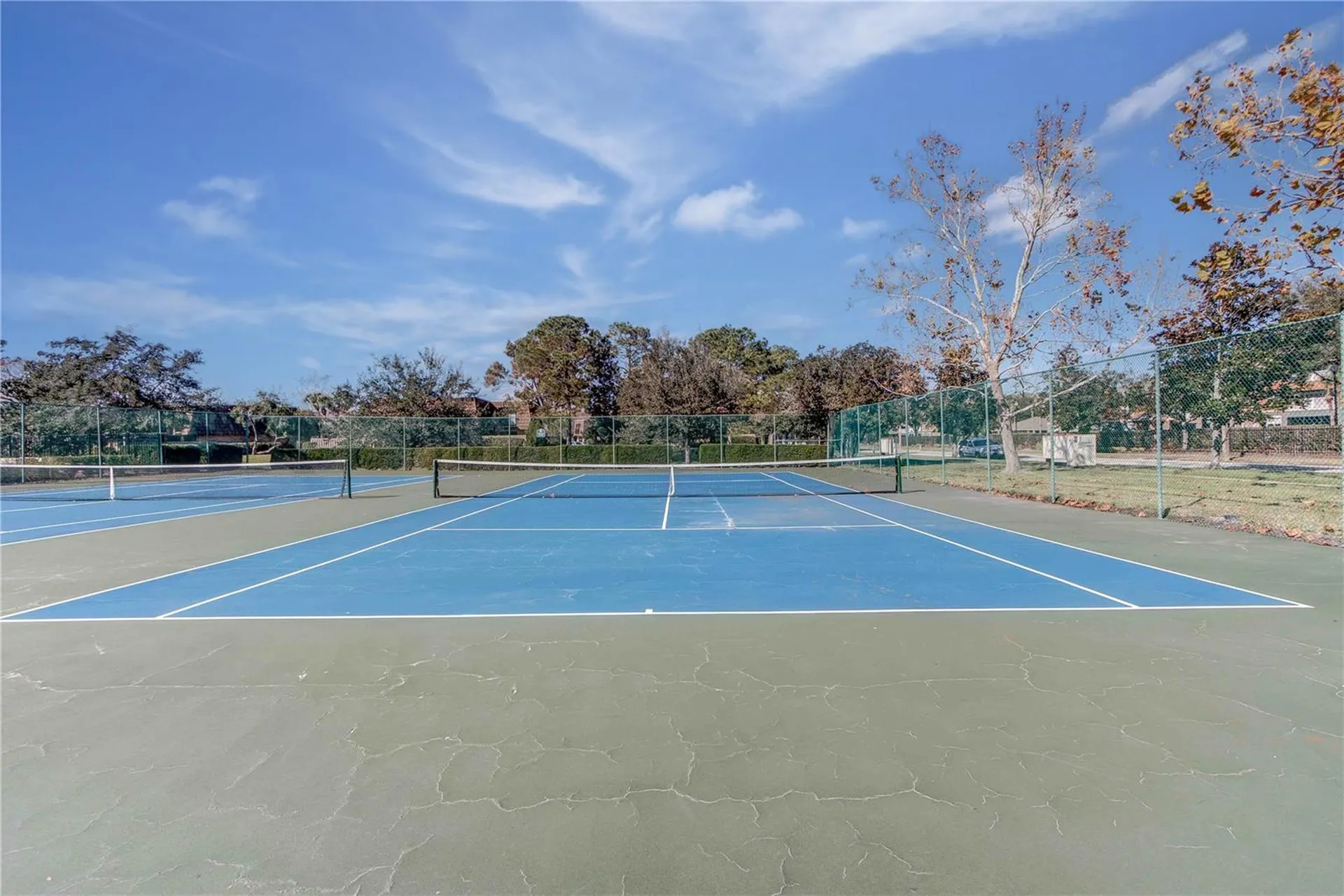 5341 Bamboo Court Orlando FL 32811