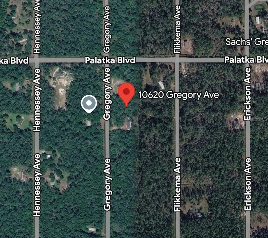 10620 Gregory Avenue Hastings FL 32145