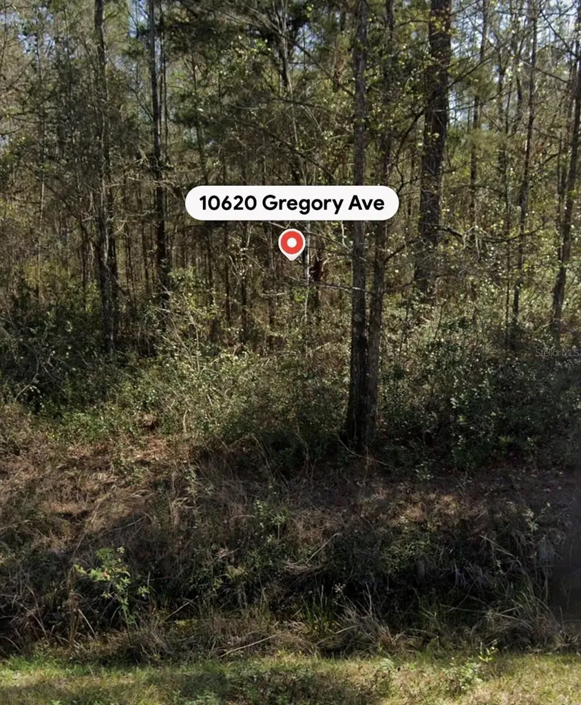10620 Gregory Avenue Hastings FL 32145