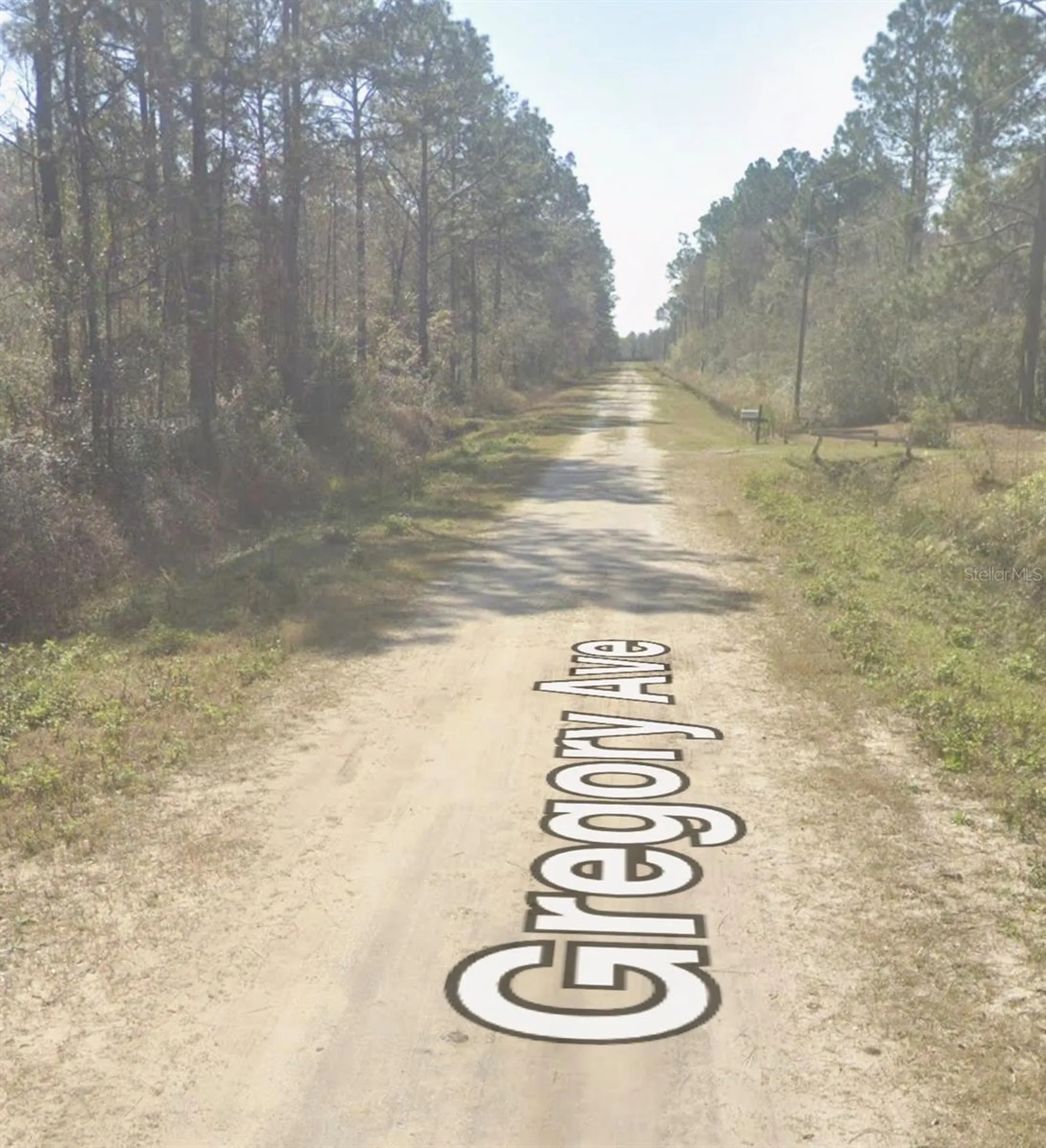 10620 Gregory Avenue Hastings FL 32145