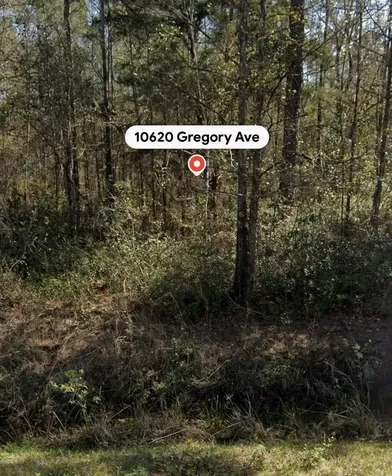 10620 Gregory Avenue Hastings FL 32145