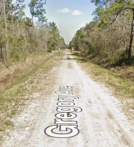10620 Gregory Avenue Hastings FL 32145