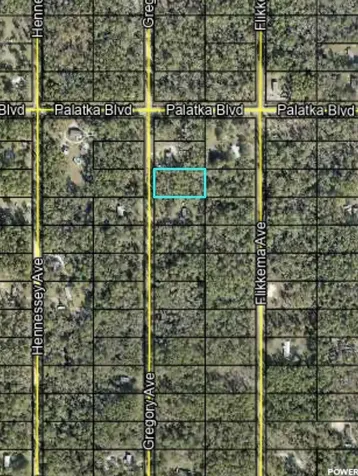 10620 Gregory Avenue Hastings FL 32145