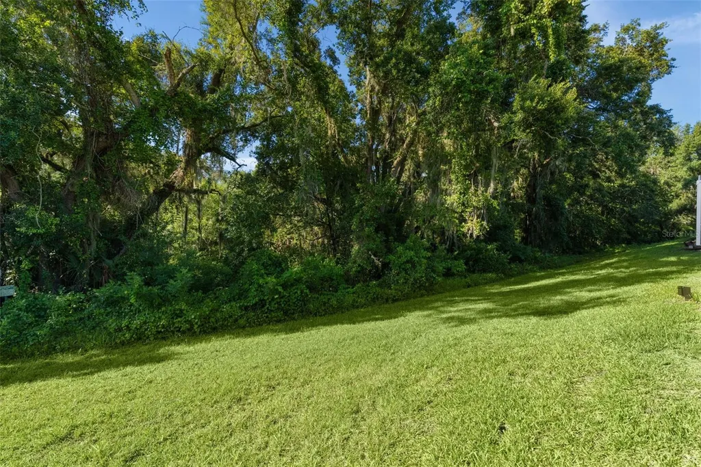 4358 Antietam Creek Trail Leesburg FL 34748