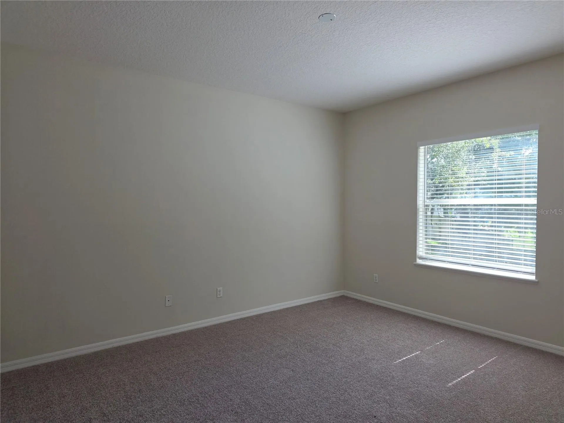 311 Rambling Circle Apopka FL 32712