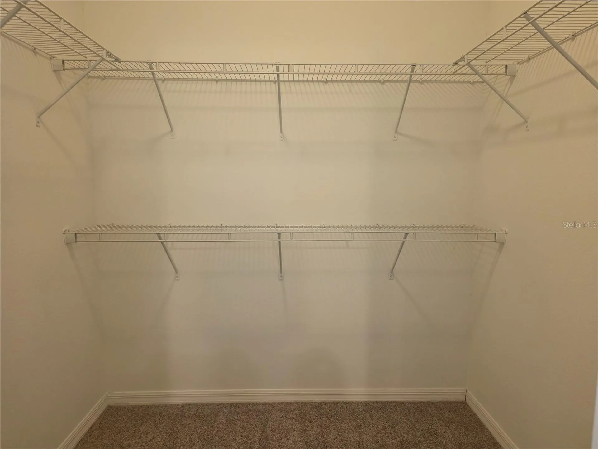 311 Rambling Circle Apopka FL 32712