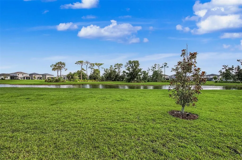6025 Timberdale Avenue Wesley Chapel FL 33545
