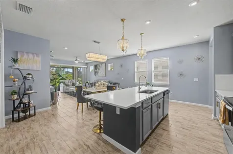 6025 Timberdale Avenue Wesley Chapel FL 33545