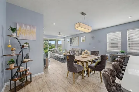 6025 Timberdale Avenue Wesley Chapel FL 33545