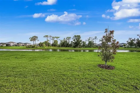6025 Timberdale Avenue Wesley Chapel FL 33545