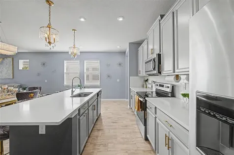 6025 Timberdale Avenue Wesley Chapel FL 33545