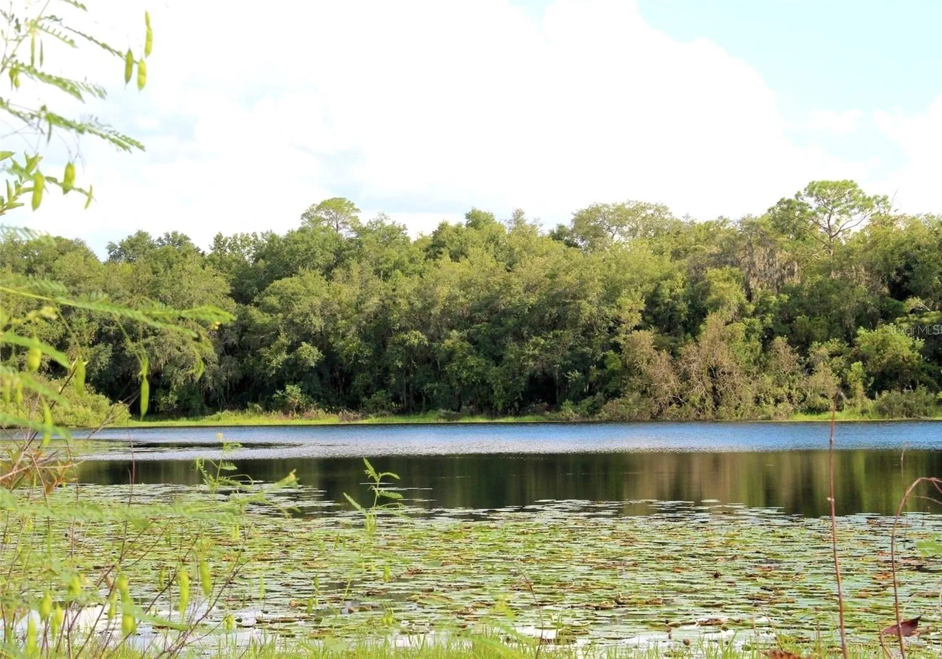 3179 Foxwood Drive Apopka FL 32703