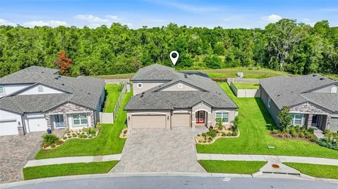 12000 Nouveau Avenue Spring Hill FL 34610