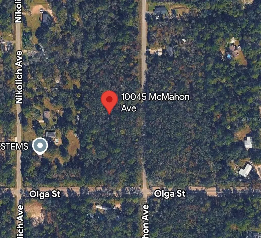 10045 Mcmahon Avenue Hastings FL 32145