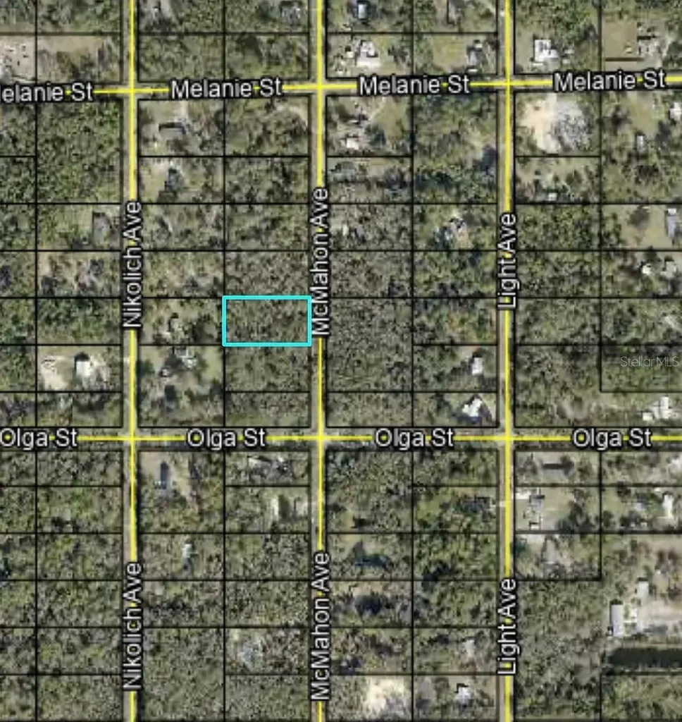 10045 Mcmahon Avenue Hastings FL 32145