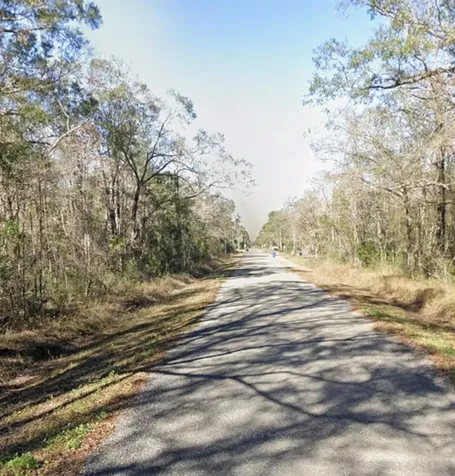 10045 Mcmahon Avenue Hastings FL 32145