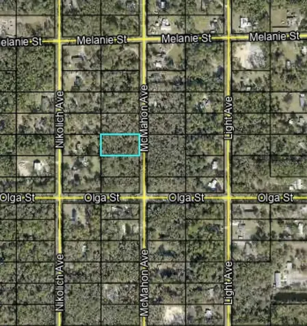 10045 Mcmahon Avenue Hastings FL 32145