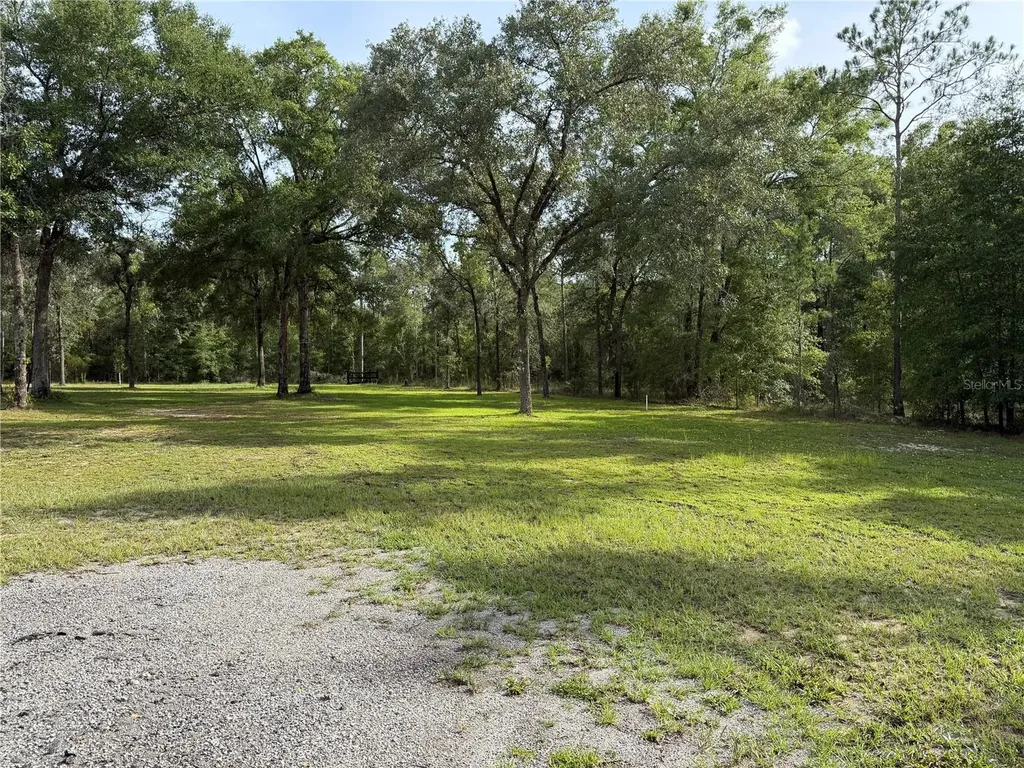 14190 NE 75th Street Bronson FL 32621