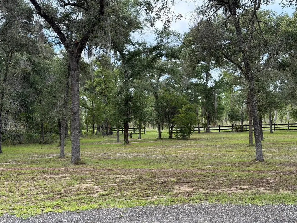 14190 NE 75th Street Bronson FL 32621