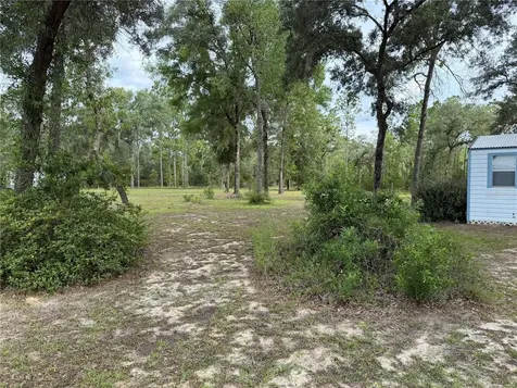 14190 NE 75th Street Bronson FL 32621