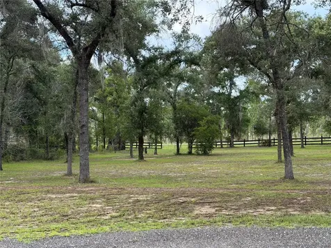 14190 NE 75th Street Bronson FL 32621