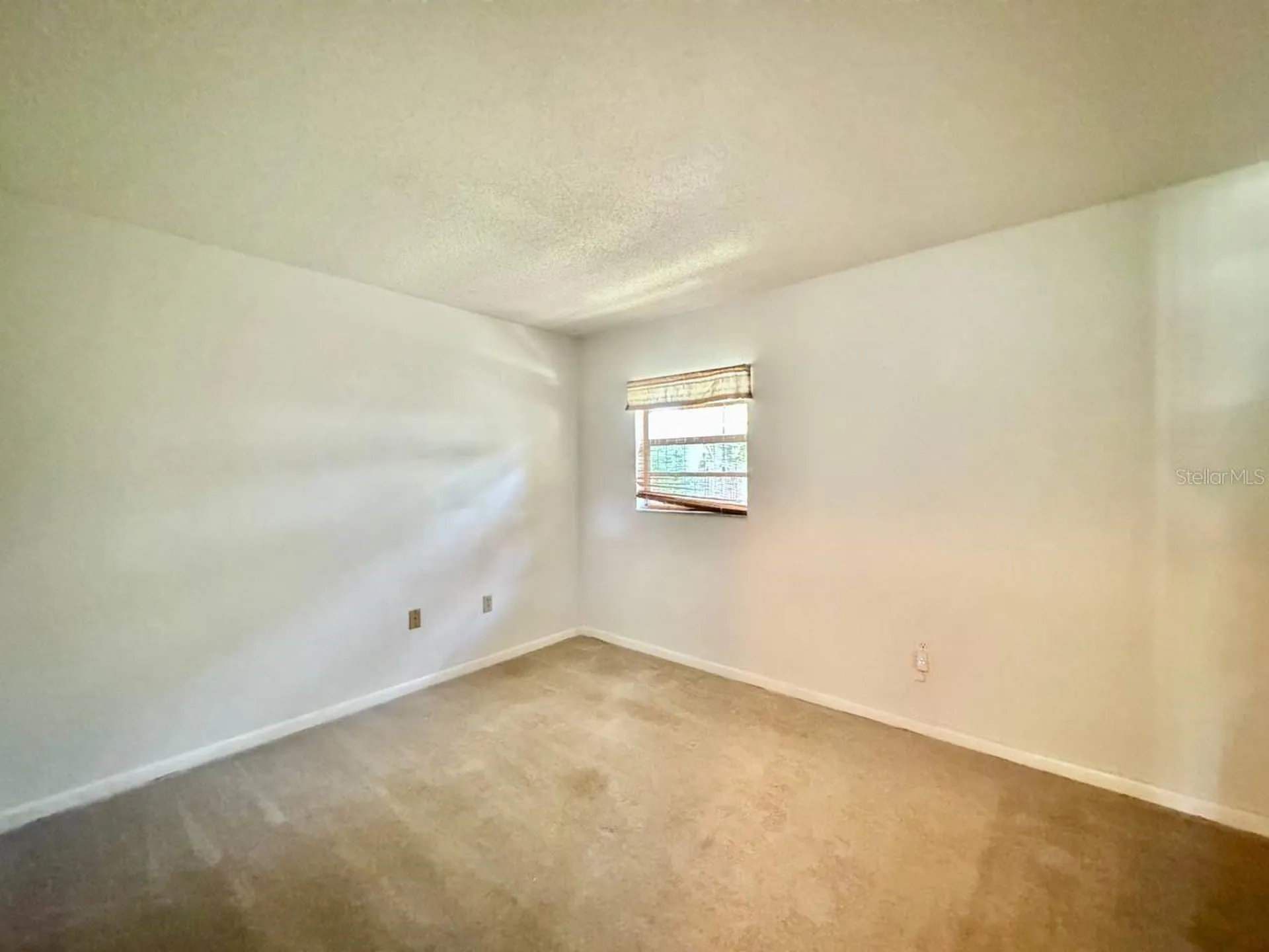 3195 Chamblee Lane Clearwater FL 33759