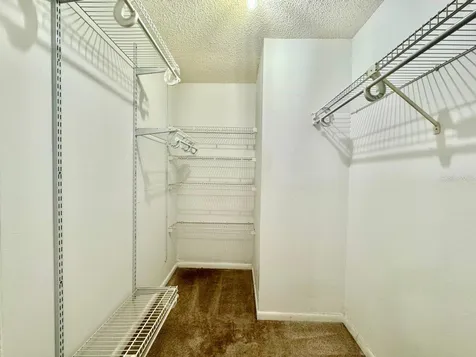 3195 Chamblee Lane Clearwater FL 33759