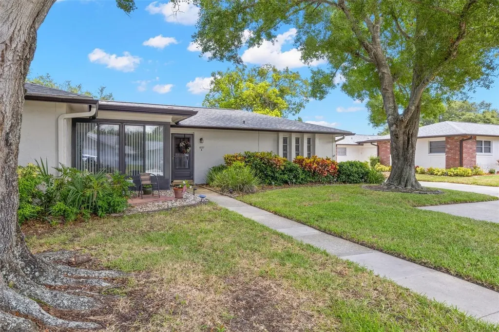 1227 Queen Anne Drive Palm Harbor FL 34684