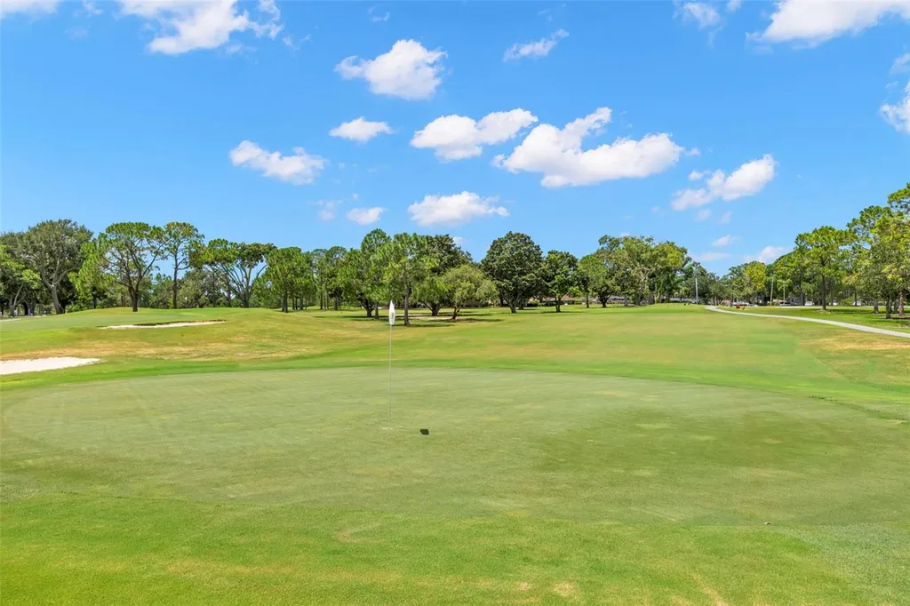 1227 Queen Anne Drive Palm Harbor FL 34684