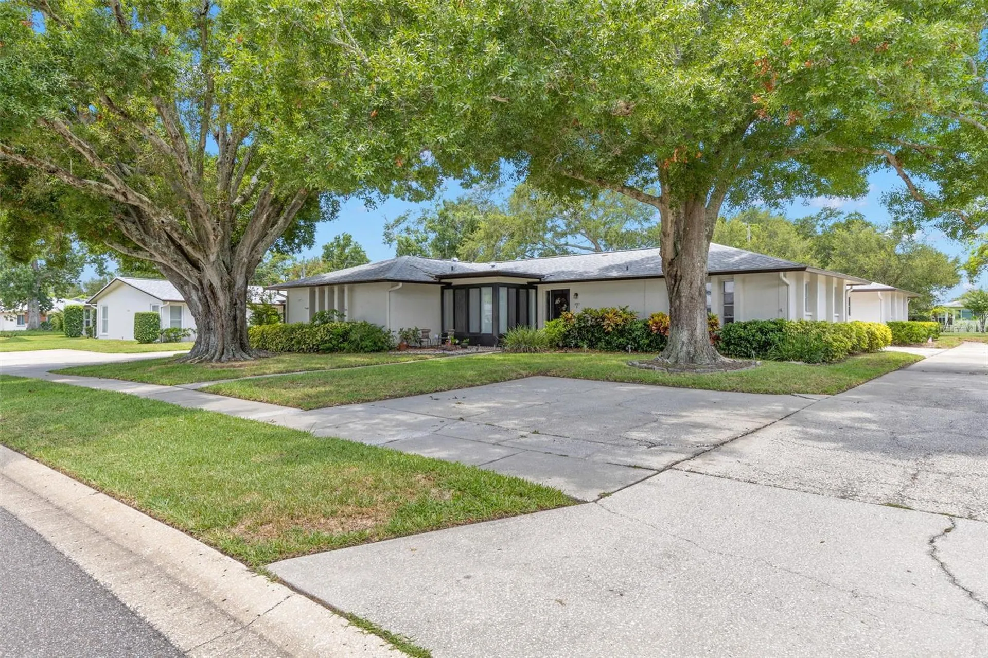 1227 Queen Anne Drive Palm Harbor FL 34684