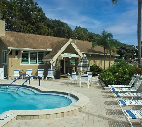 1227 Queen Anne Drive Palm Harbor FL 34684