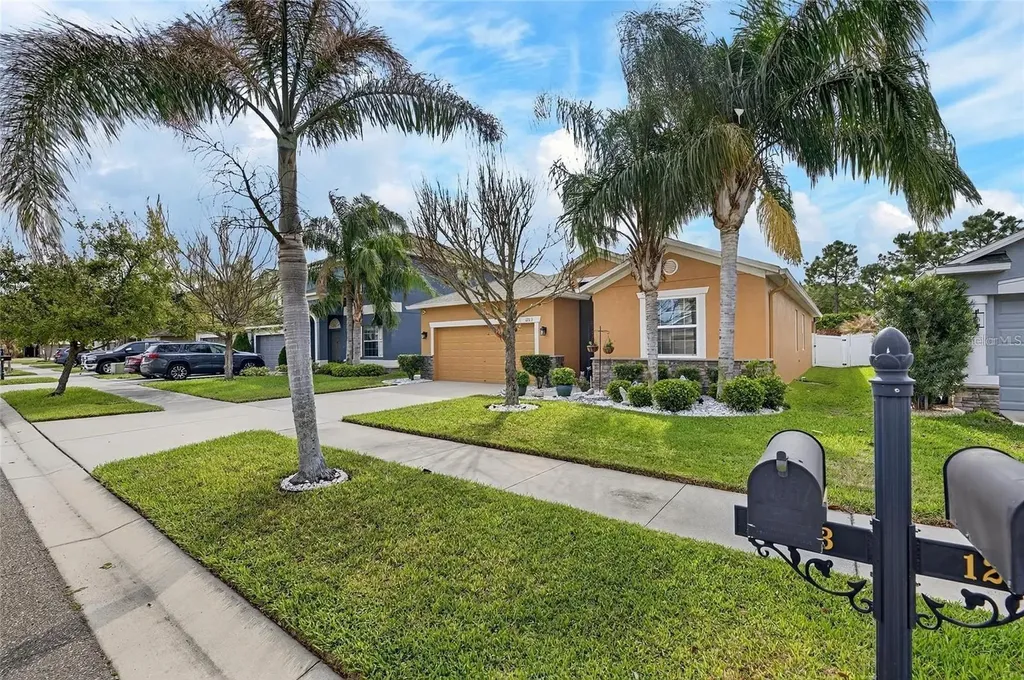 12113 Echo Basin Cove Riverview FL 33579