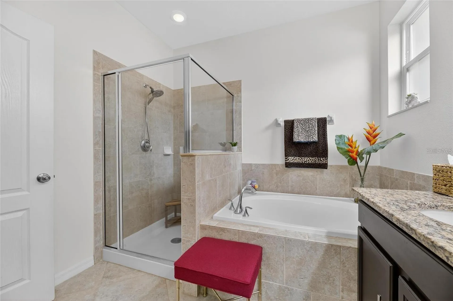 12113 Echo Basin Cove Riverview FL 33579